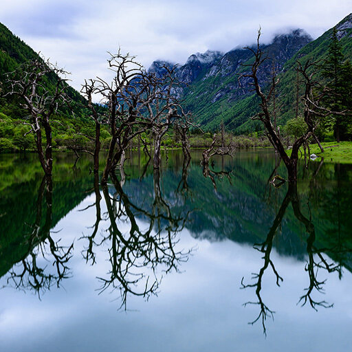 江西探秘倾斜摄影:让你的照片更立体、更生动!